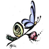 Aux Trouvailles de Mandeville