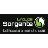 Groupe sorgente inc comptables professionnels agréés