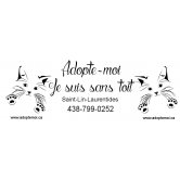 Adopte-moi, je suis sans toit (chats sans toit)